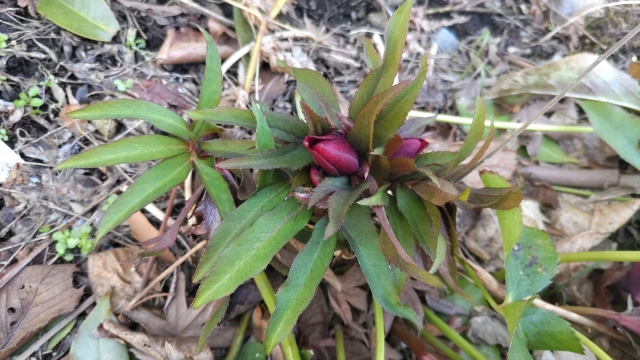 よくある質問（Q&A）