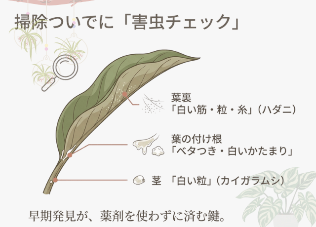 掃除ついでにできる害虫チェック
