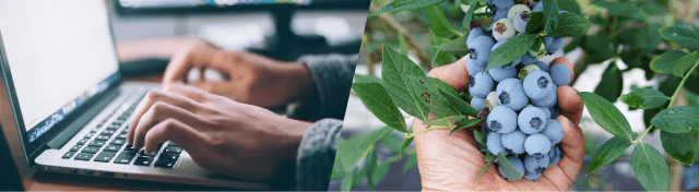 サラリーマンを続けながら農園経営者に