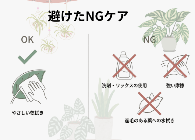 やってはいけない掃除方法