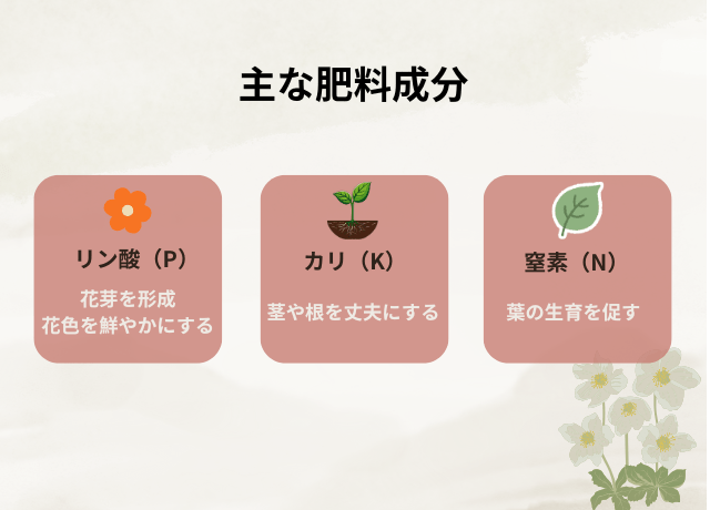 肥料バランスはリン酸多めが基本