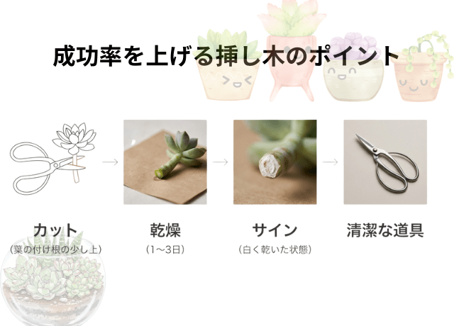 成功率を上げる挿し木のポイント|2月版