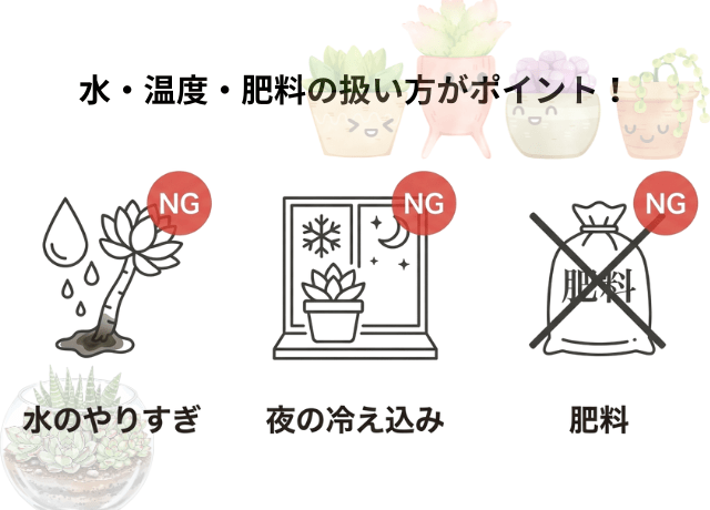 よくある失敗とその対策