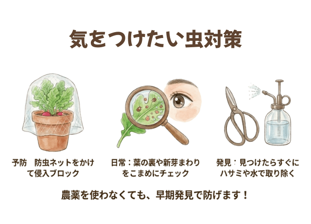 ベランダ栽培で気をつけたい虫対策