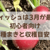 ラディッシュは、3月が最短