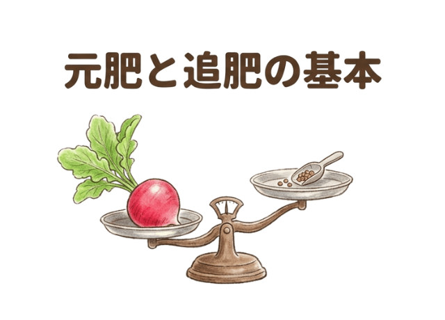元肥と追肥はどう考える?ラディッシュの肥料の基本