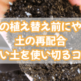 春の植え替え前にやる土の再配合|古い土を使い切るコツ