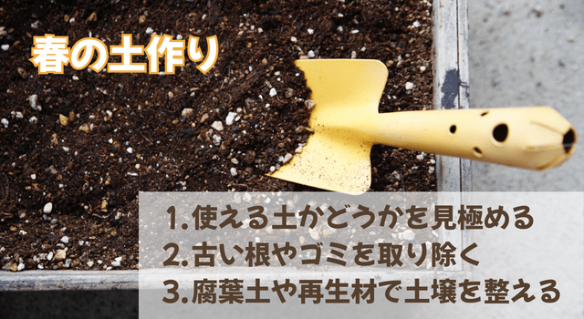 まとめ|春の植え替え、新しい土は本当に必要?