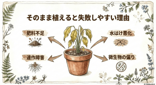 使い終わった園芸土、そのまま植えると失敗しやすい
