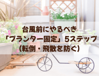 台風前にやるべき「プランター固定」5ステップ(転倒・飛散を防ぐ)