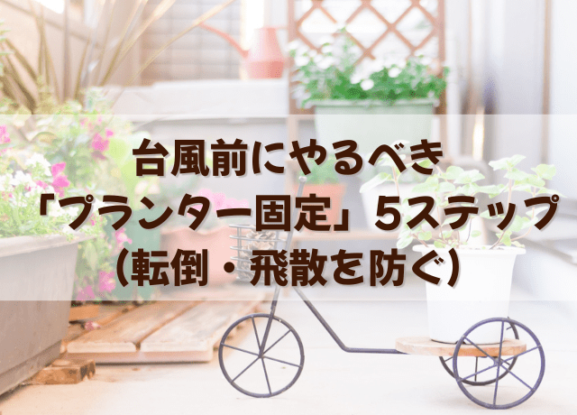 台風前にやるべき「プランター固定」5ステップ(転倒・飛散を防ぐ)