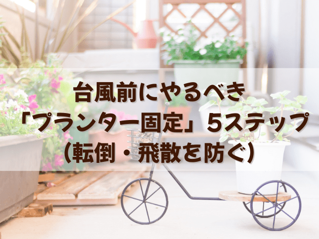 台風前にやるべき「プランター固定」5ステップ（転倒・飛散を防ぐ）