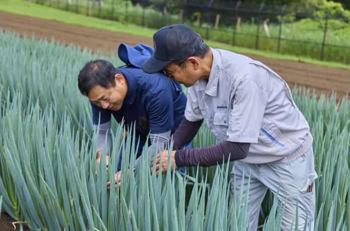 ほ場での指導