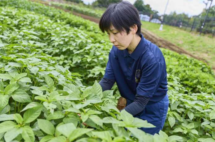 喜久山彩さん
