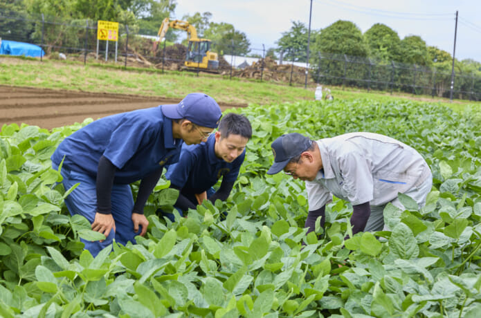 ほ場での研修