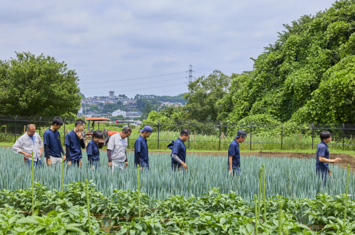 ほ場での研修