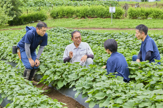 ほ場で学ぶ研修生