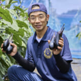 7期生城さん