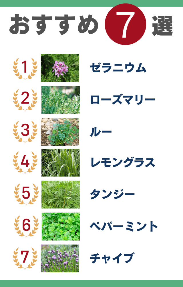猫よけハーブおすすめ7選一覧の表の図