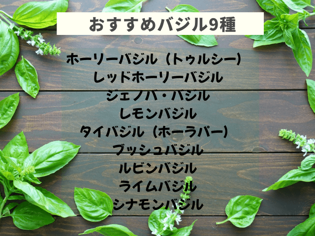 おすすめのバジル9種