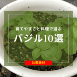 育てやすさと料理で選ぶバジル10選