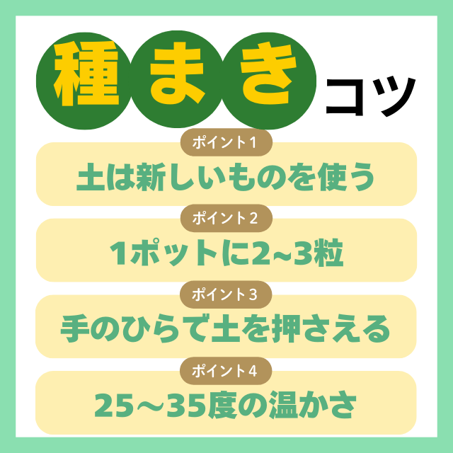 種まきのコツ