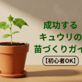 成功するきゅうりの苗づくりガイド