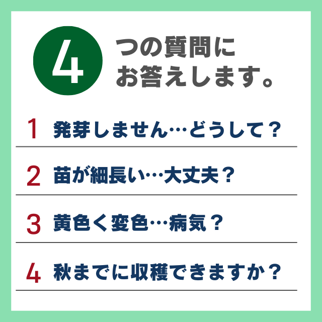 4つの質問にお答えします