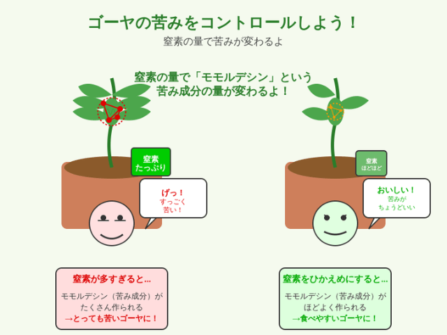 ゴーヤの苦みをコントロールしよう