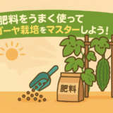 肥料のうまく使ってゴーヤ栽培をマスターしよう！