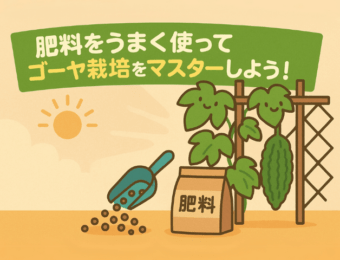 肥料のうまく使ってゴーヤ栽培をマスターしよう！