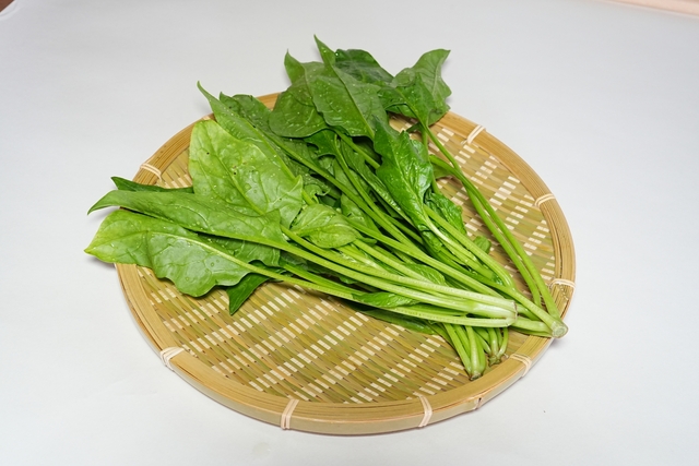 ほうれん草品種まとめ