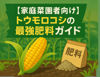 アイキャッチ画像家庭菜園者向けトウモロコシの最強肥料ガイド