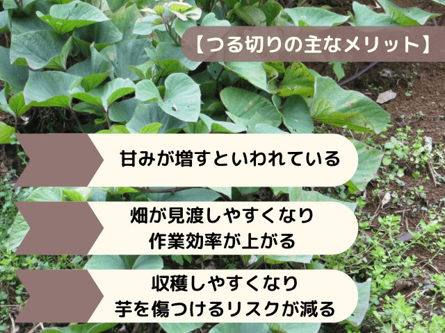 つる切りの主なメリット