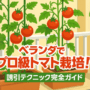 ベランダでプロ級トマト栽培！誘引テクニック完全ガイド
