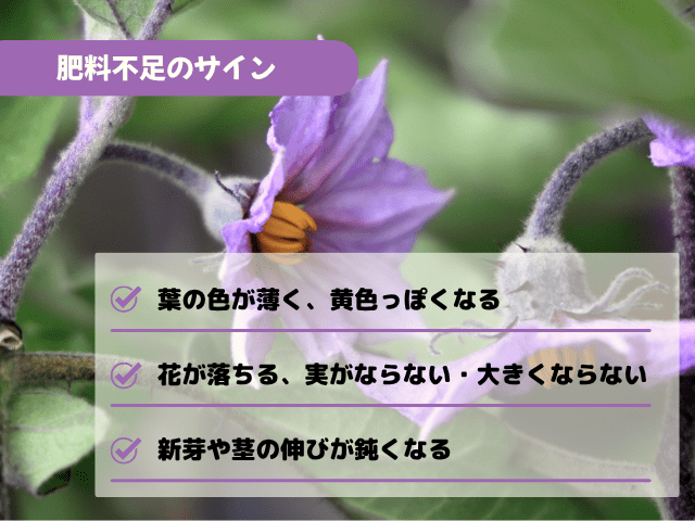 肥料不足のサイン