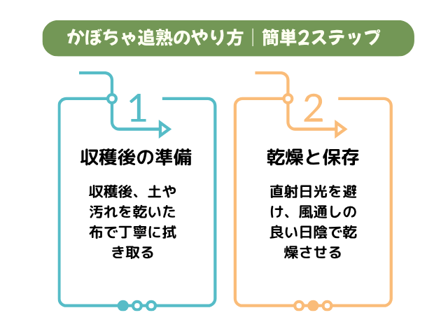 かぼちゃ追熟のやり方｜簡単2ステップ