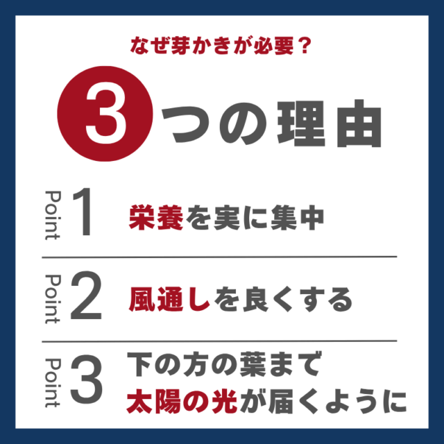 芽かきが必要な３つの理由0617