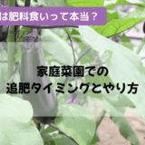 ナスは肥料食いって本当？家庭菜園での追肥タイミングとやり方