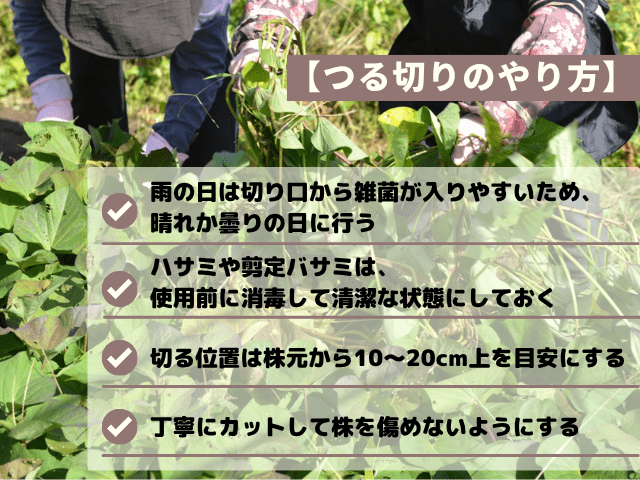 つる切りのやり方