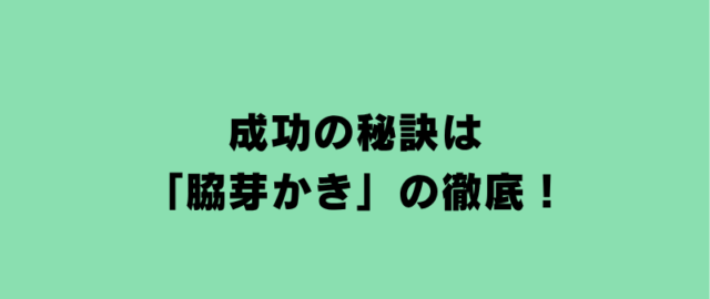 成功の秘訣は「脇芽かき」の徹底！