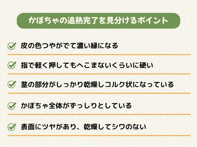 かぼちゃ追熟｜食べごろの見分け方