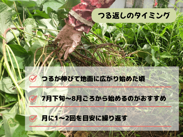 つる返しのやり方とタイミングのコツ