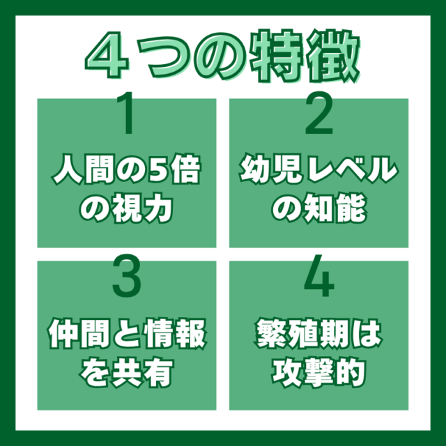 カラスの４つの特徴