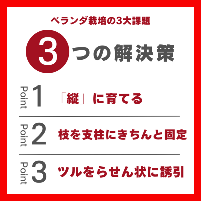 ベランダ栽培の3大課題３つの解決策