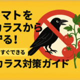 トマトをカラスから守る