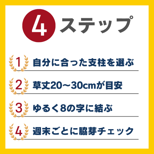 トマトの誘引４つのステップ