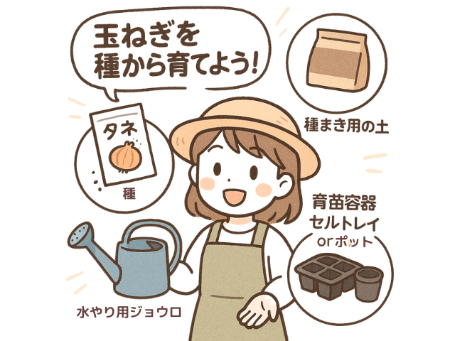 玉ねぎを種から育てよう！9月種まきで来年の初夏には収穫祭♪
