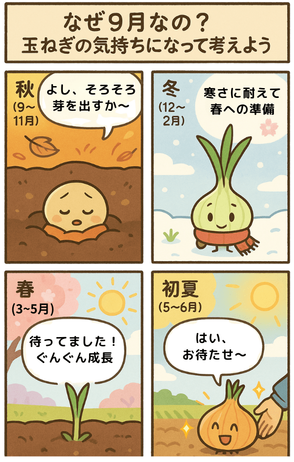 なぜ9月なの？玉ねぎの気持ちになって考えてみよう