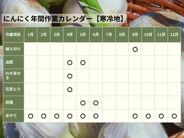 にんにく年間作業カレンダー寒冷地